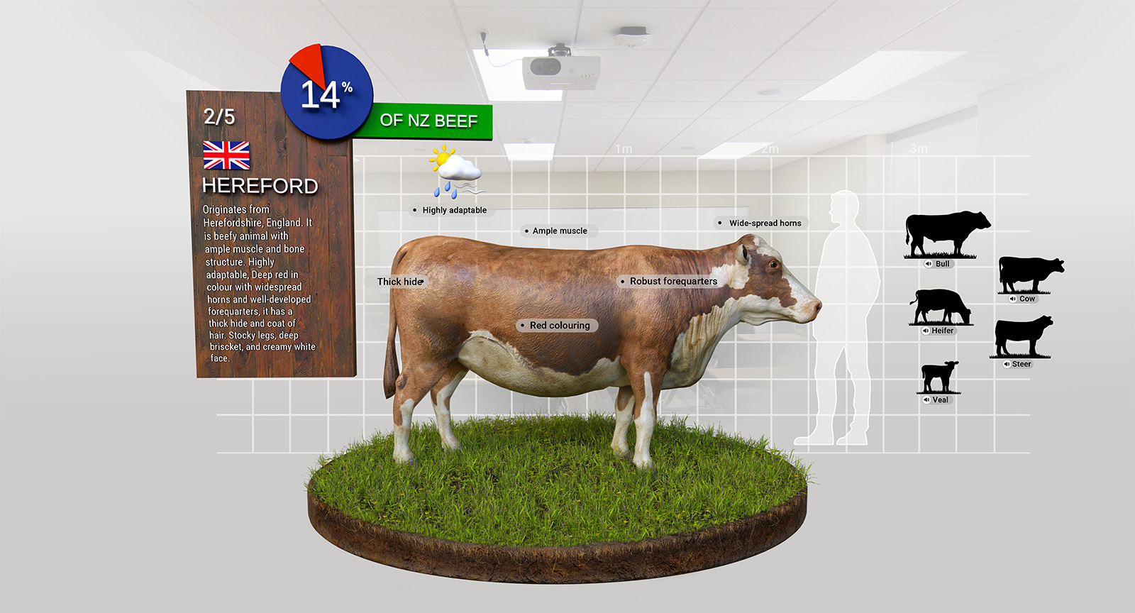 Waxeye NZ | Revolutionising Butchery Training | Case Studies